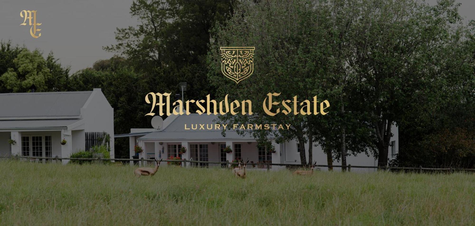 Bed and Breakfast Marshden Estate Стелленбос Екстер'єр фото